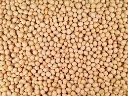 Organic Soybean Exporters